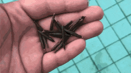 GIFs-9