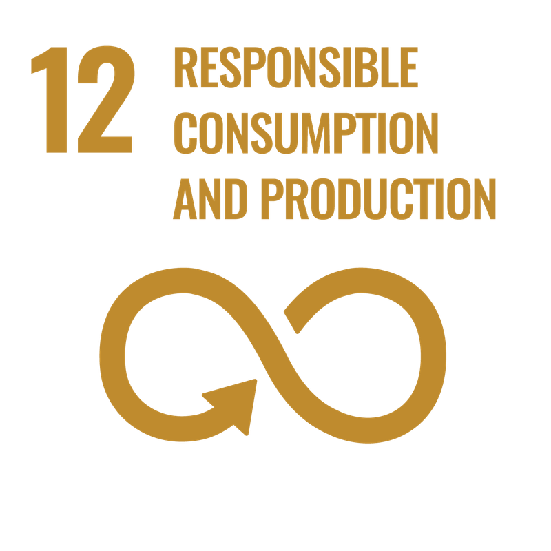 SDG 4