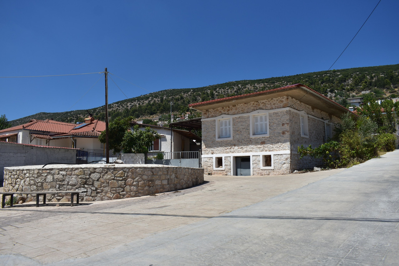 Αραχναίο (4)