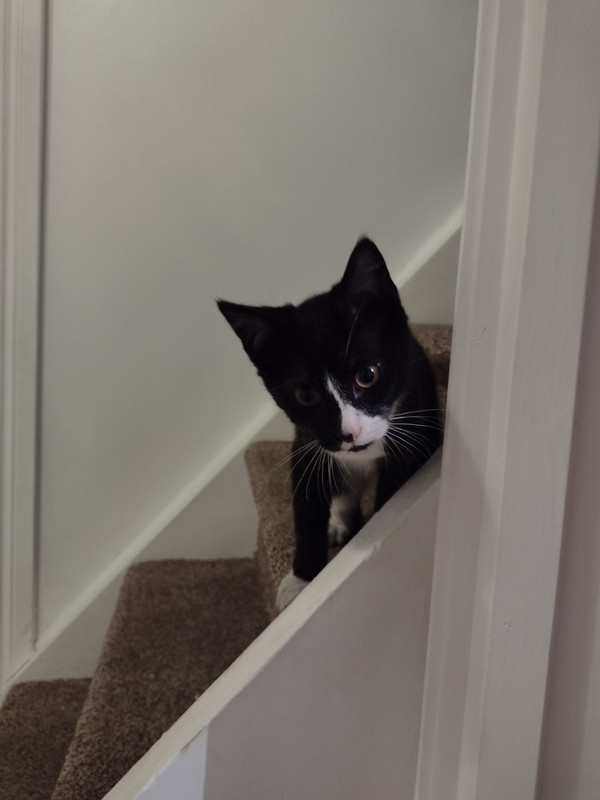 IMG_20220819_211632357_HDR