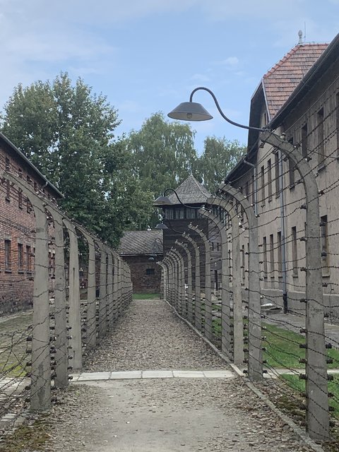 Cracovia (Kraków) y Auschwitz - Polonia en verano de 2024 (6)