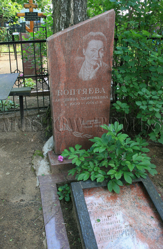 koptyaeva-ad
