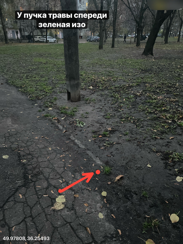 8d82ef10cb5b67a8b77113de627b4d0f