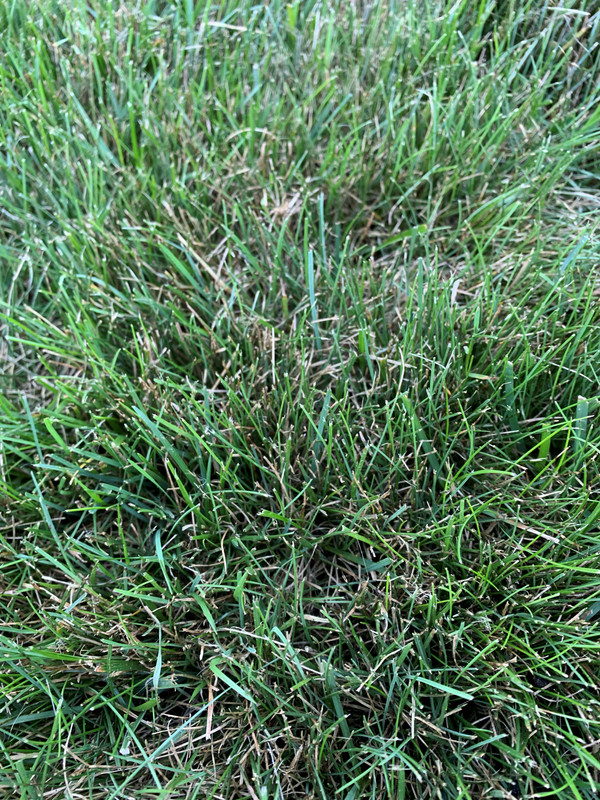 20200801_215657152_iOS (2)