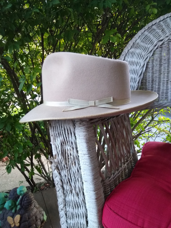 IMG-20191012-080019490.jpg