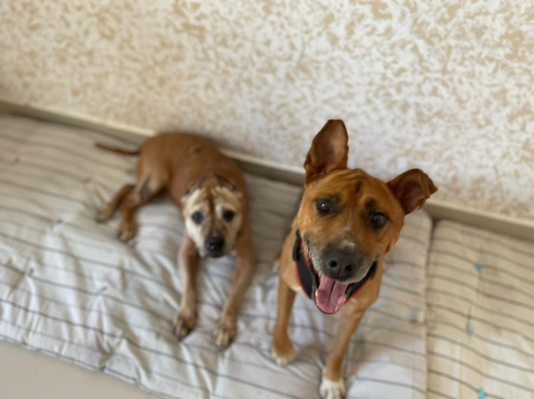 A864ACB3-D89B-4E2A-BE5E-8F2EB83DAACA