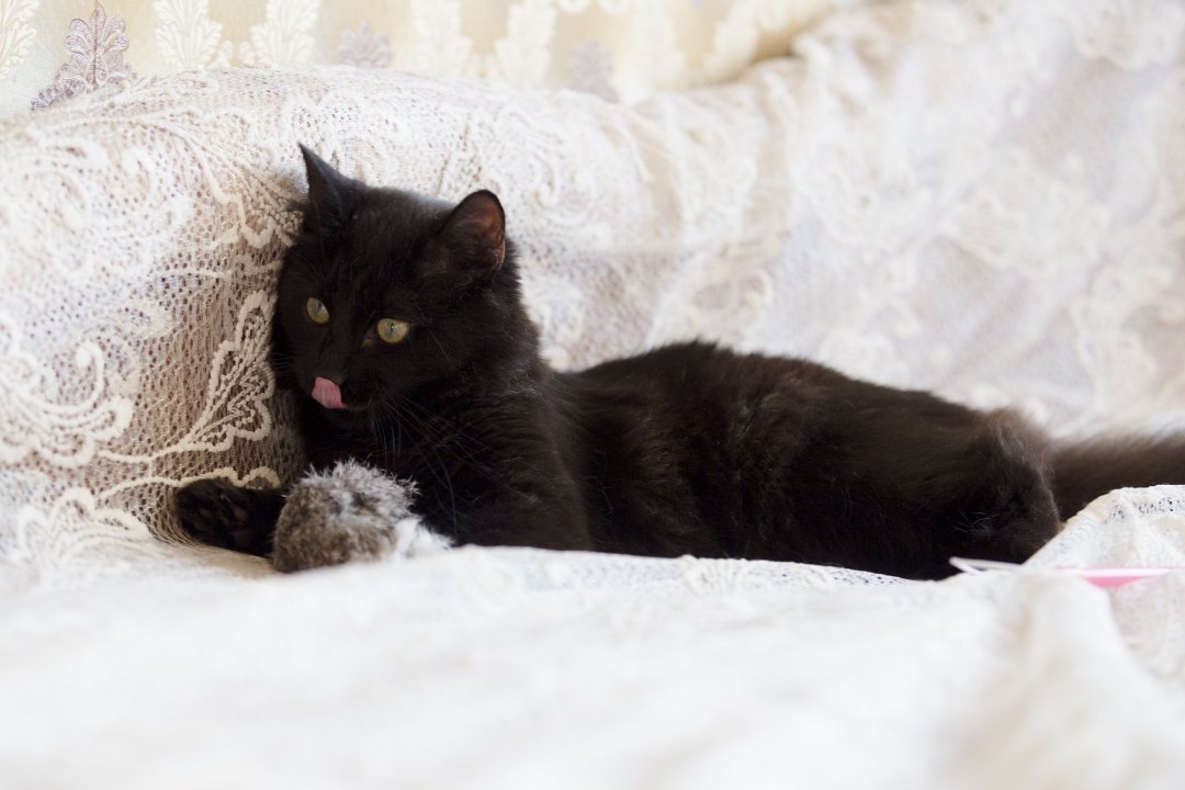 Фунтик_19_10_5