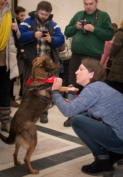 38863902-0620-4C77-81B2-90710CBAC273