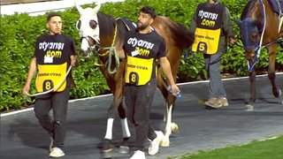 TJK-ANKARA-SD20250318-171717.jpg