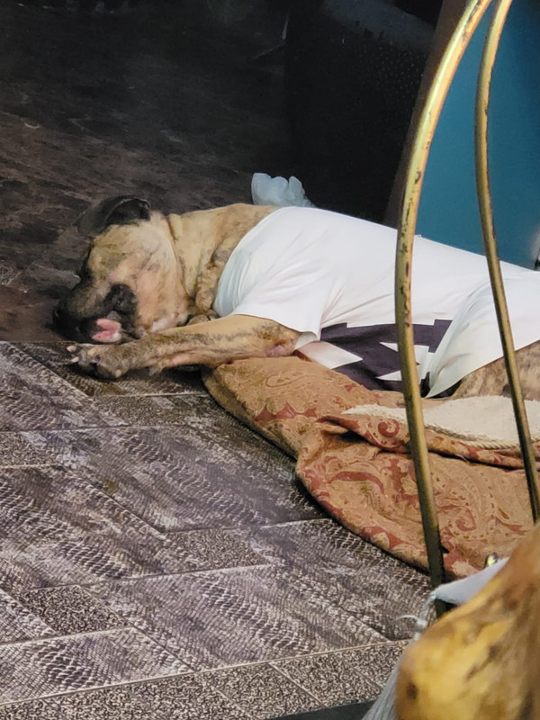 36AF15A9-2956-4115-BD13-A758A711300C