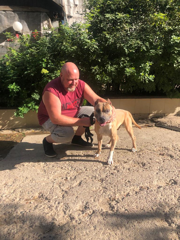 9E9A486C-BE69-4BBF-88E7-D92026A3FAD1