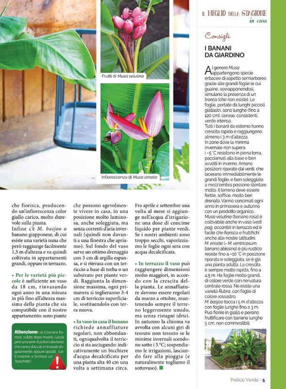 Pol Ver Ago 2021 (2)