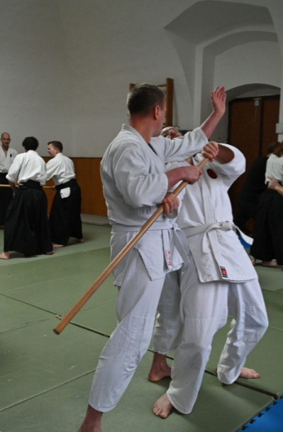 Aikido techniky