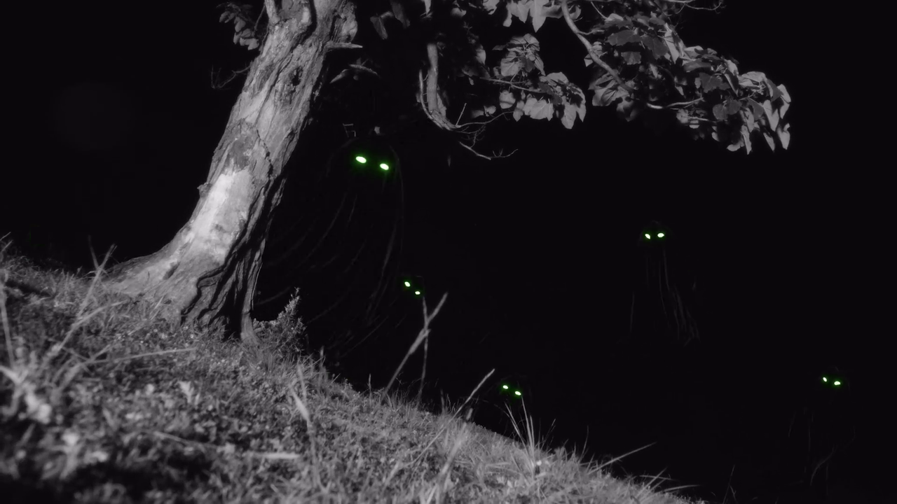 in the dark