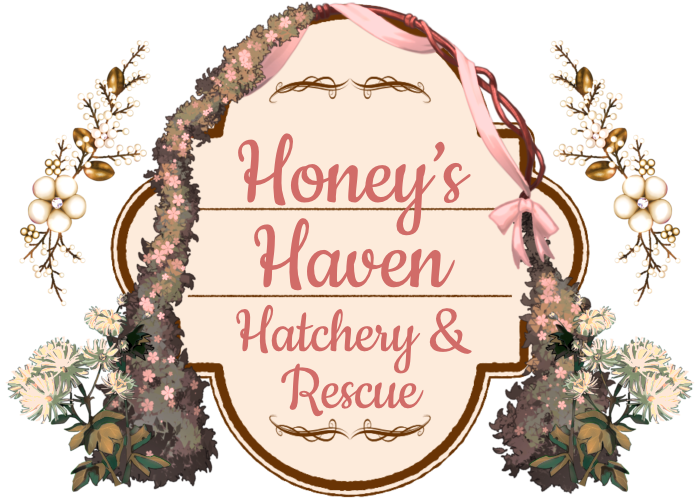 An oval banner with flowers that reads 'Honey's Haven Hatchery And Rescue '.