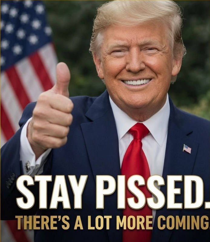 Screenshot 2026 07 20 at 09 26 37 Meme Political Page 1472 Yellow Bullet Forums