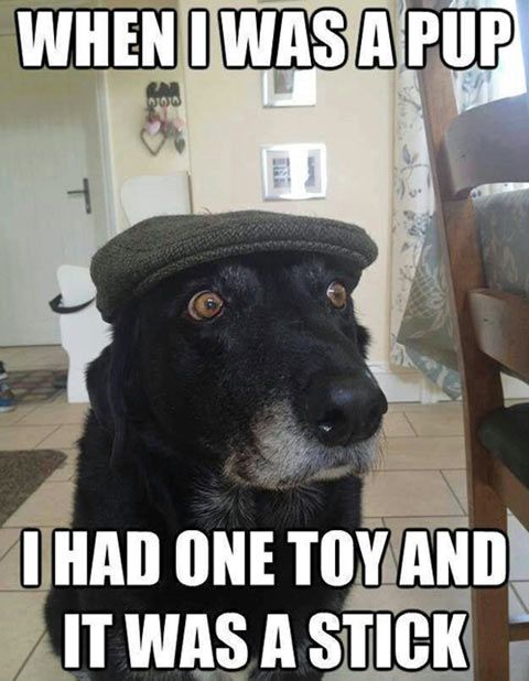 Dog Humor #2