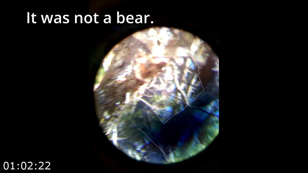 [Kép: The-Bigfoot-Prophecy-2024-720p-WEBrip-x264-AAC.png]