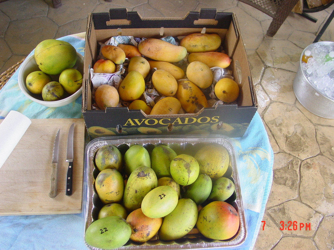 Gary's Tasting - MANGO'S! 071814