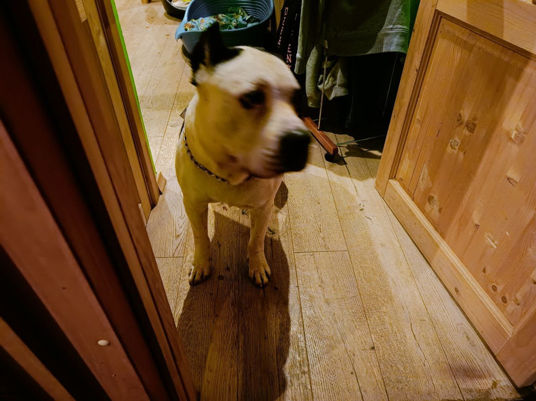 A8ECDEE7-448C-4475-902D-1E9AE3EF69C8