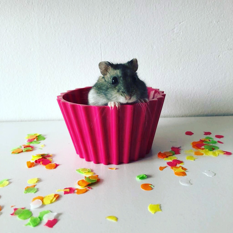 A59DAA06-D352-4AE3-BF37-A29CB484DDF3