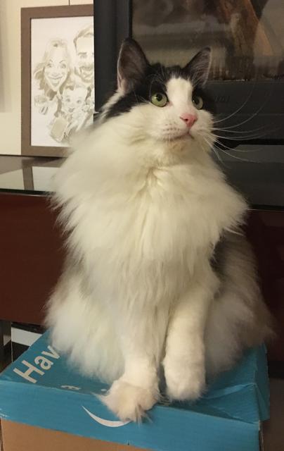 4_BD4_EDB2-8555-49_CA-8_C47-31_DB4_C7_F2