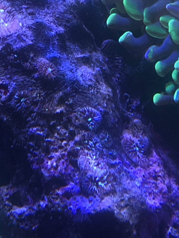 11A6745C-21D4-4386-BE64-9346D83F0FB1