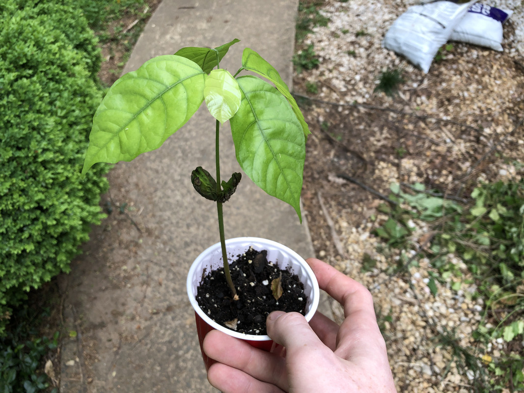 94C2A419-1DA0-4A64-B9FF-7575B4C6EEEB