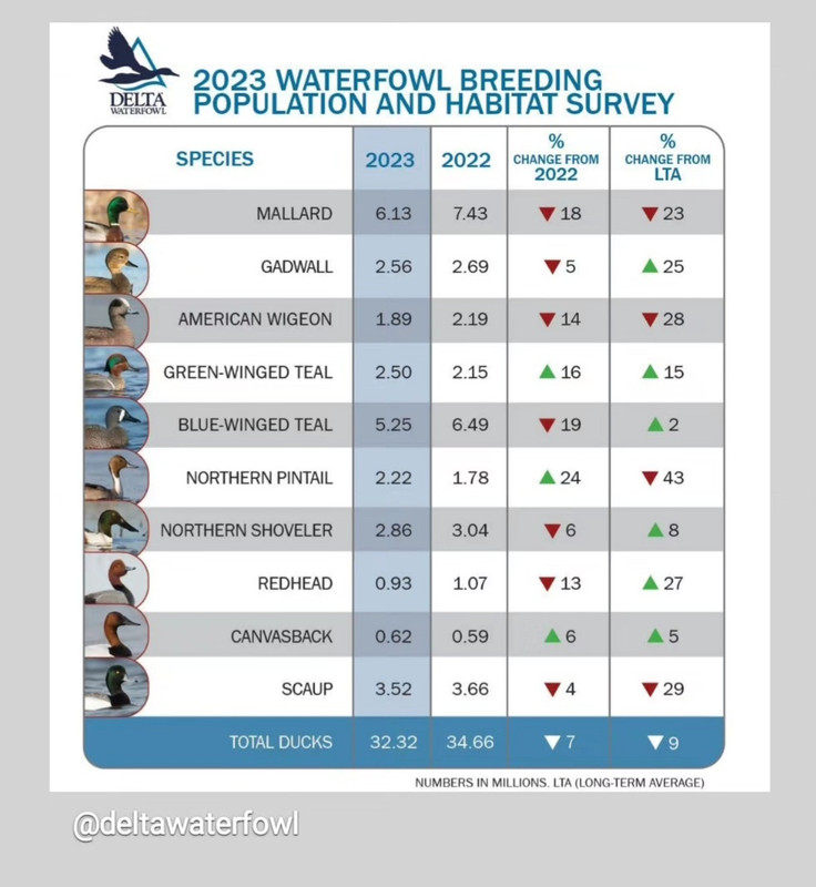 Screenshot_20230818_163400_Instagram