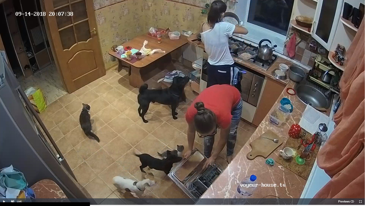 bandicam-2018-09-14-18-07-57-674f8e568f4