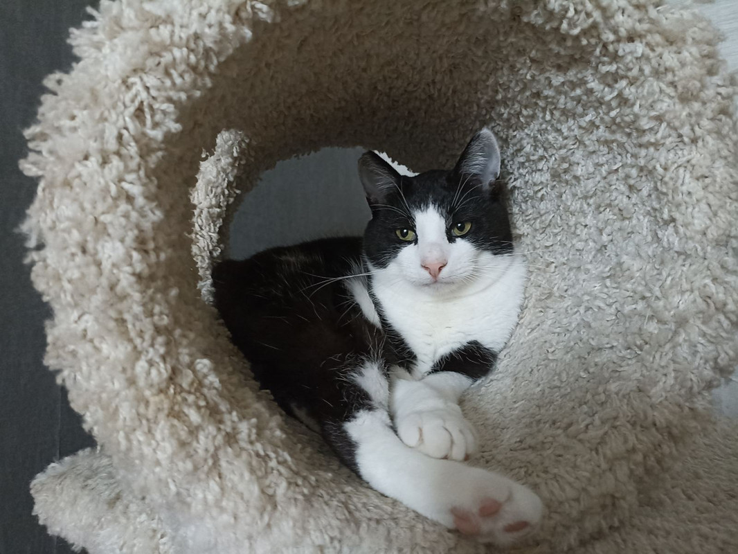 изображение_viber_2022-07-28_11-24-02-298