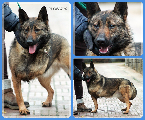 BeFunky-collage (24)