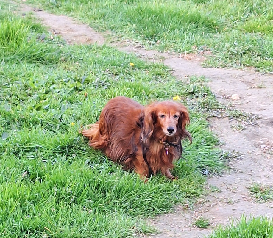 [Image: 20240324-181320.jpg]