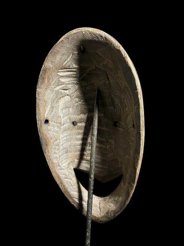 large image 11