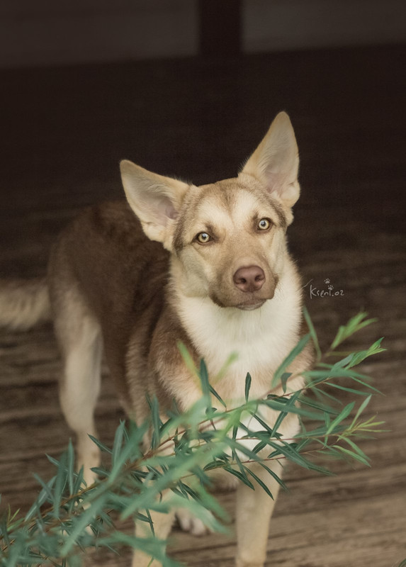 изображение_viber_2021-08-21_16-06-55-656