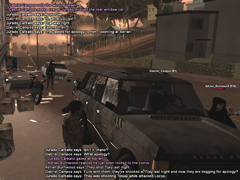 SS1.png