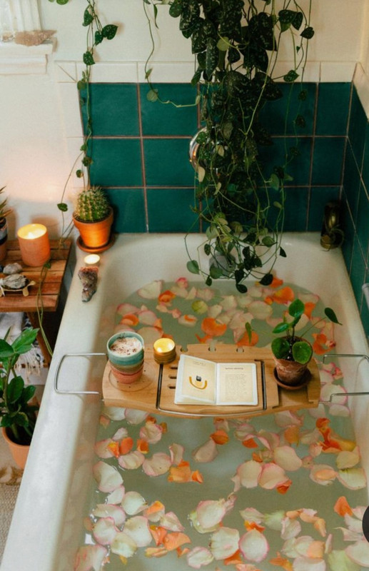 Screenshot_20230225_225417_Pinterest