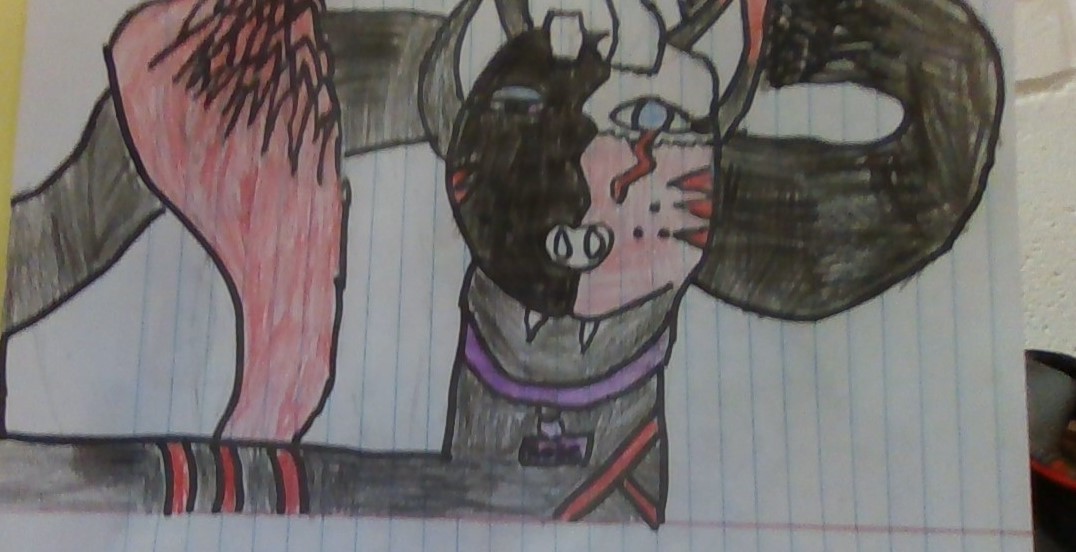 WIN_20231027_12_08_01_Pro (2)