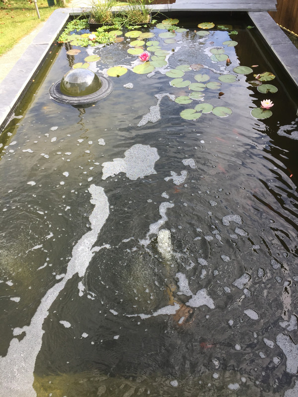 08C2833F-00C8-458B-882D-046356C9BC47