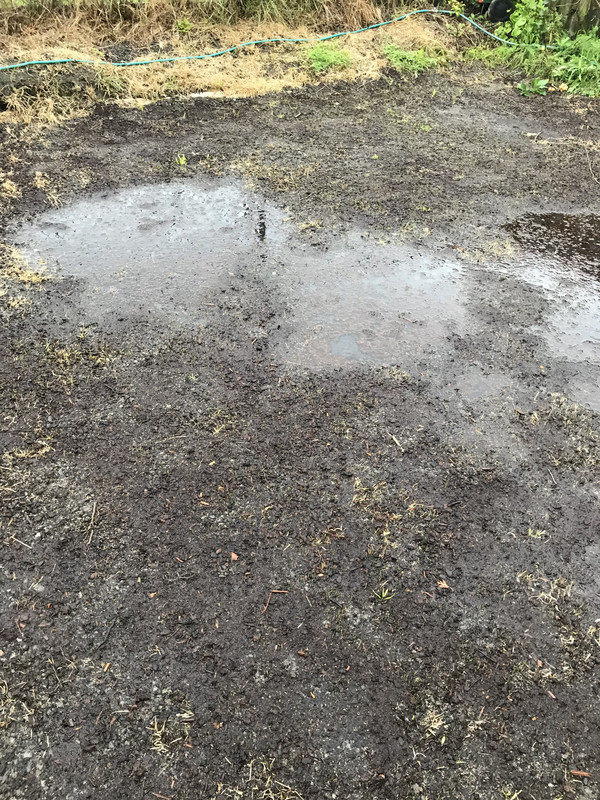 6830C18D-3670-4F94-85DB-A8C4FE399EBC