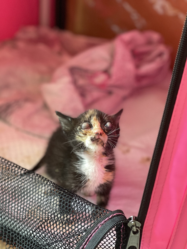 4CD23D00-A7F5-4E16-AC36-329ADEFFF75C