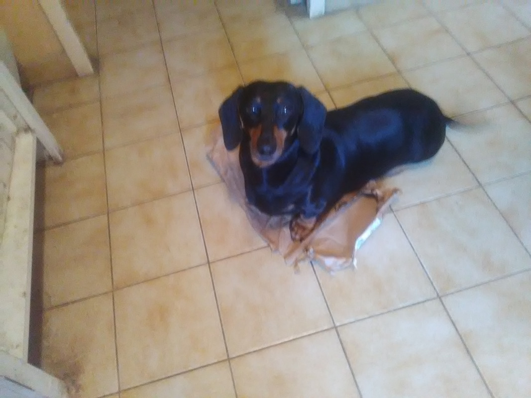 [Image: IMG-20221128-144839.jpg]