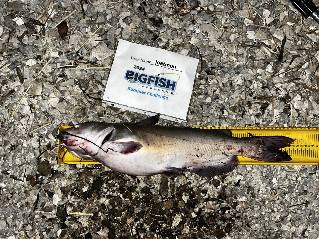 23A19C1F-6EFD-4934-BFE7-7B726ED887F8