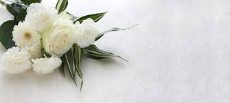 [Image: images-6.jpg]