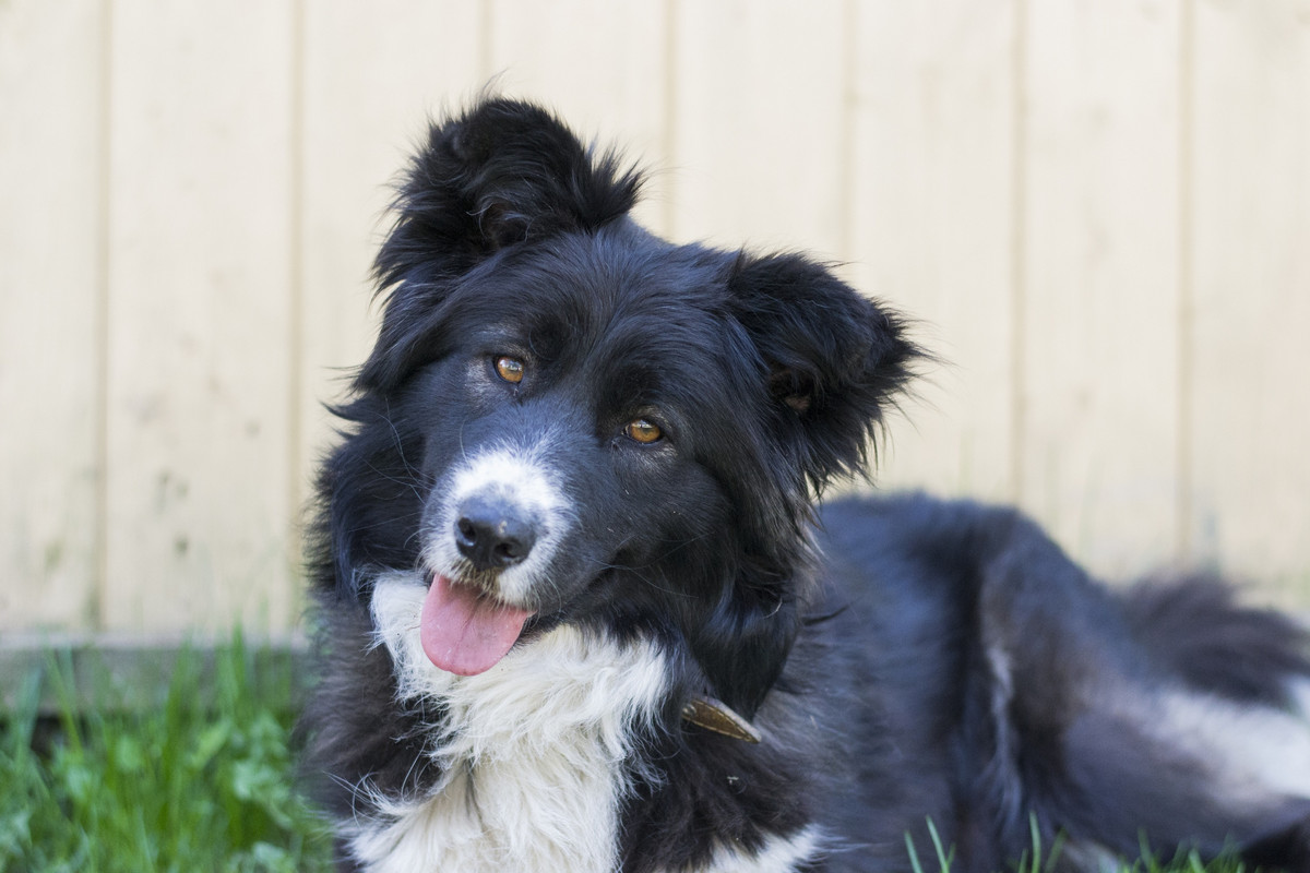 Фортуна_04_19_м20