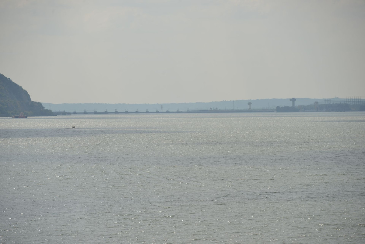 DSC-9799.jpg