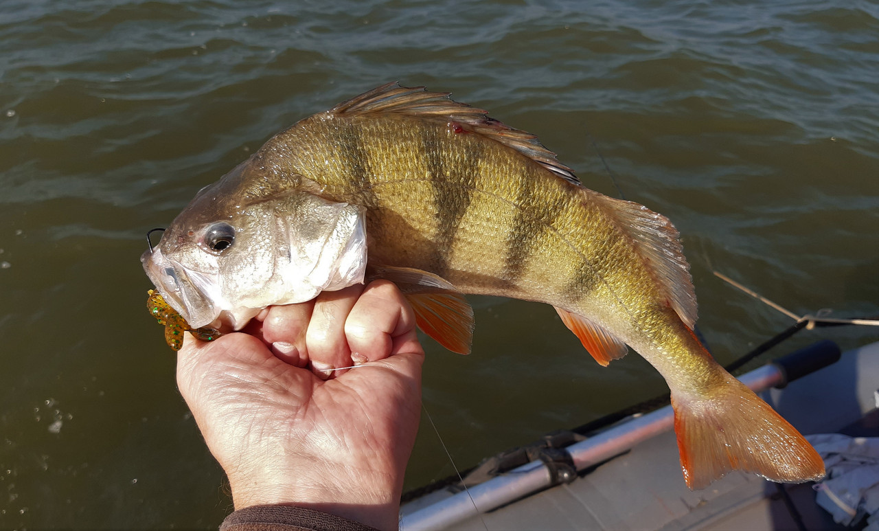 20210901_082829 — копия