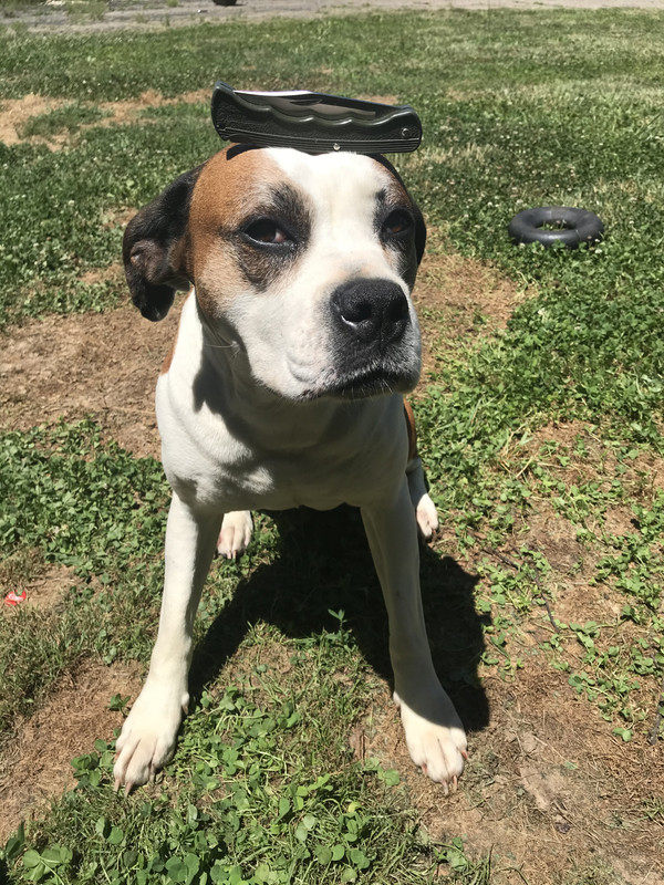 A8E437FB-8F3F-4753-A6E9-7B2737CA3D61