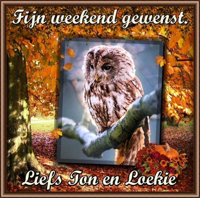www.krabbelplaatjes.com