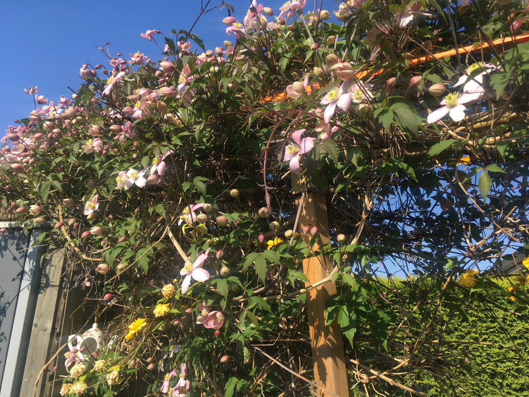 306D9E9C-174C-49F1-B5A4-C8C8422AE43A